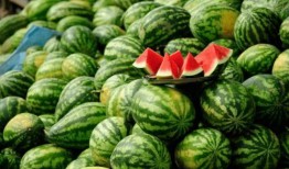 网红吃瓜人名字怎么取