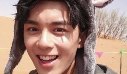 娱乐圈24条爆料,揭秘明星背后的真相与秘密