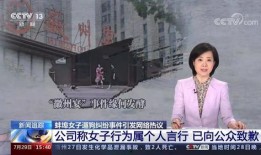 央视新闻爆料王冕事件视频,真相与争议并存