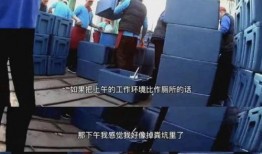 爆料天津小学生配餐视频,校园午餐质量引关注