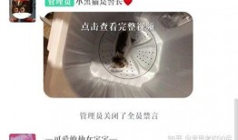 压铸爆料视频播放大全,爆款视频大盘点，带你领略压铸技术魅力