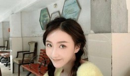 李帅前女友爆料事件视频,真相与谣言的交织