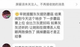灰灰微博最新爆料,揭秘娱乐圈最新热点事件！”