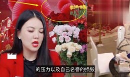 谁爆料徐大宝的视频播放,揭秘背后惊人真相