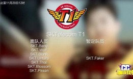 瓶子爆料转会视频大全下载,转会视频大全下载，揭秘足球转会幕后风云