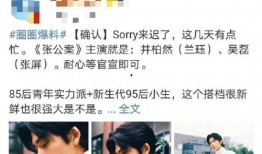 圈内爆料张公案,圈内爆料背后的真相与谜团