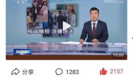 海哥爆料新闻最新消息今天