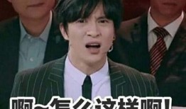 黄牛爆料薛之谦视频播放,薛之谦神秘视频曝光，幕后真相引热议