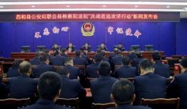 甘肃西和县爆料新闻视频