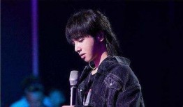 娱乐吃瓜华晨宇是谁啊,娱乐吃瓜界的焦点人物