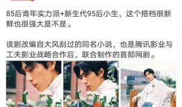 圈内爆料张公案,圈内爆料背后的真相与谜团