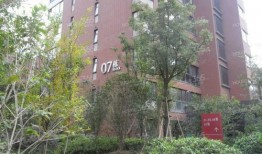 南京碧桂园爆料最新消息