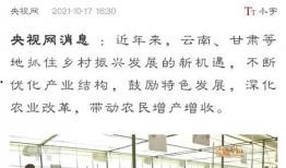 嵩明县新闻爆料,聚焦民生热点，揭示社会现象