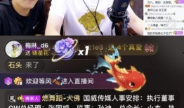 十三哥爆料郝振东视频大全,郝振东视频大全背后的精彩故事