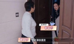 苏红爆料杜淳视频播放,真相究竟如何？