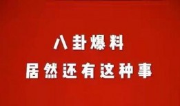 荆门八卦娱乐爆料,揭秘八卦娱乐最新爆料，明星幕后故事大公开